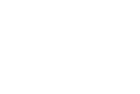 茨大前ビジョン